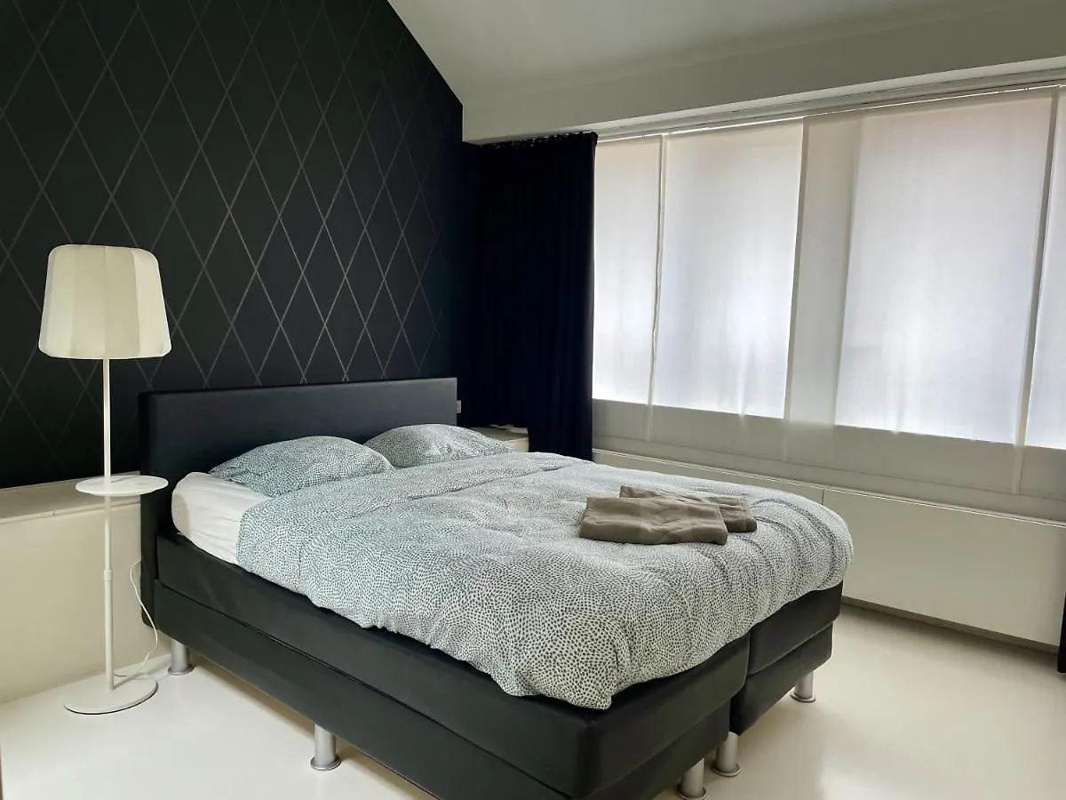 Luxurious Villa During Tomorrowland Hemiksem